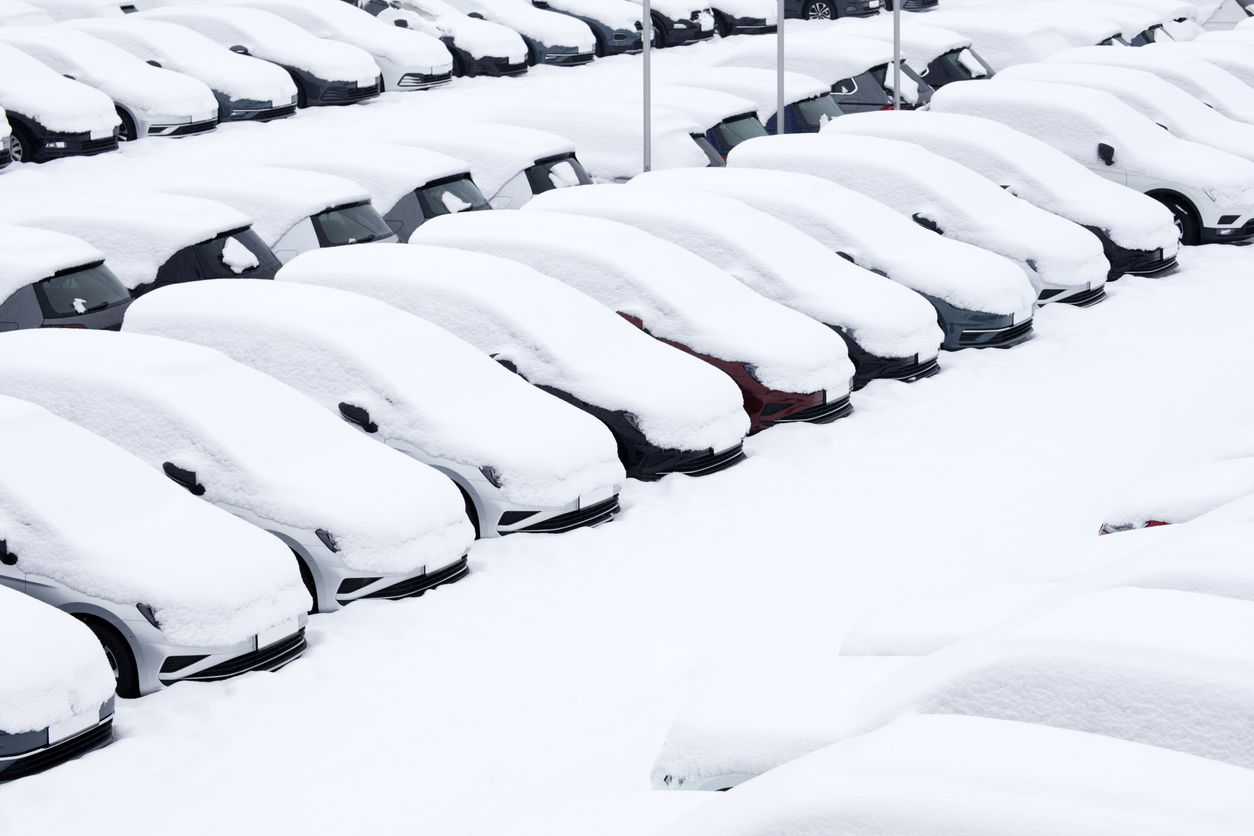 auto dealer insurance